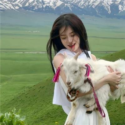 绝命毒师第二季
